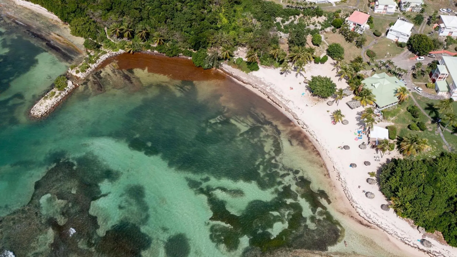 Le Ti' Paradis Tropical, Anse Des Rochers Vue Mer Studio25M2 Saint-Francois  Apartment Saint-Francois (Grande-Terre)